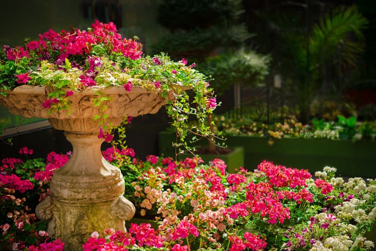 Great Little Breaks | Flowers covering a fountain