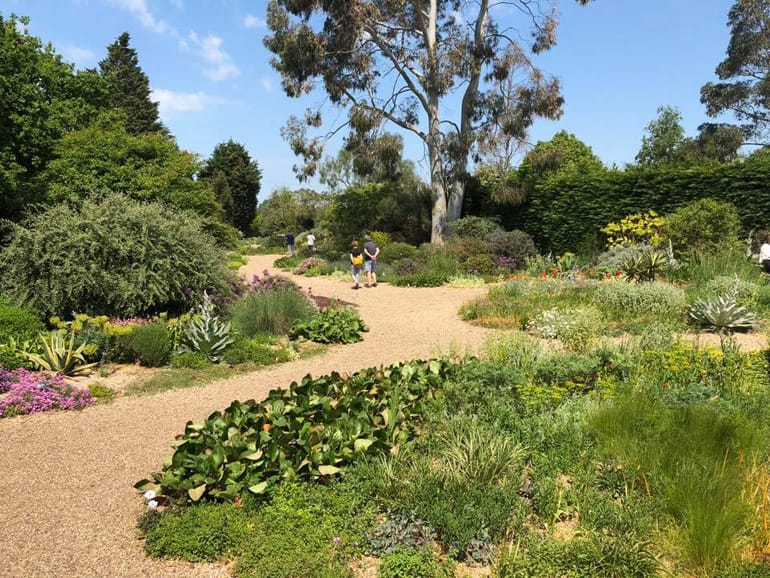 The Beth Chatto Gardens.jpg